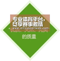专业体育平台，尽享赛事激情 - 爱体育