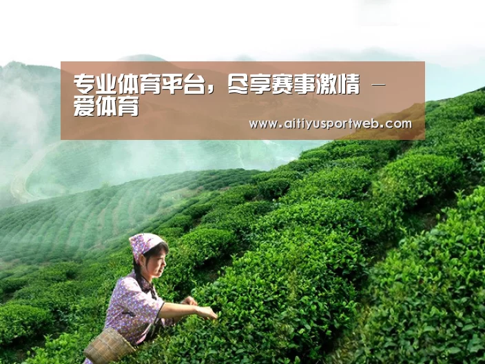 专业体育平台，尽享赛事激情 - 爱体育