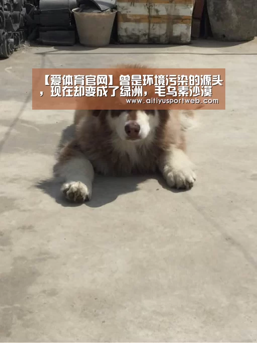 爱体育官网