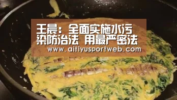 王晨:全面实施水污染防治法 用最严密法治保护水环境_爱体育(图2) 爱体育官网