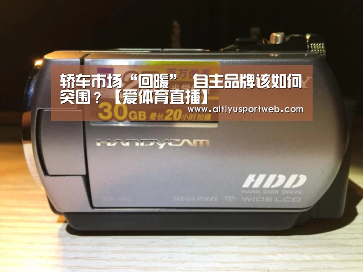 轿车市场“回暖” 自主品牌该如何突围?【爱体育直播】(图2) 爱体育