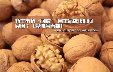 轿车市场“回暖” 自主品牌该如何突围?【爱体育直播】(图1) 爱体育