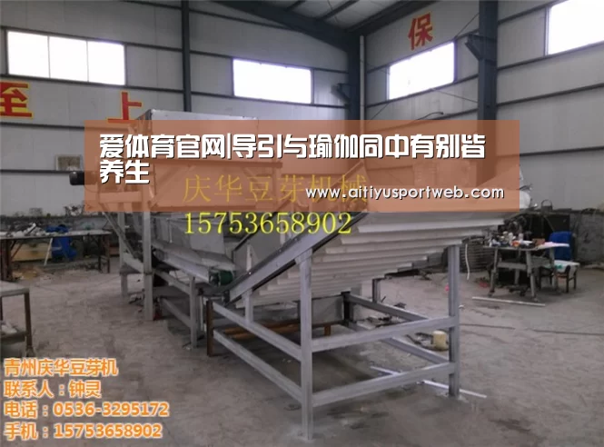 爱体育官网|导引与瑜伽同中有别皆养生(图3) 爱体育