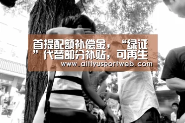 首提配额补偿金,“绿证”代替部分补贴,可再生能源配额制将迎重大变化|爱体育App(图2) 爱体育App