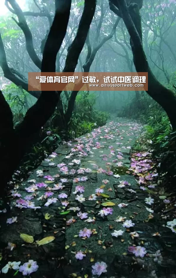 “爱体育官网”过敏,试试中医调理(图1) 爱体育App