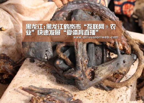 爱体育直播