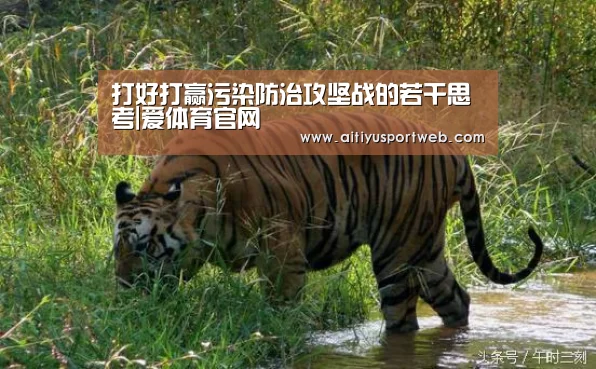 打好打赢污染防治攻坚战的若干思考|爱体育官网(图1) 爱体育