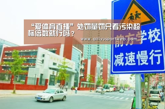 “爱体育直播”处罚量罚只看污染超标倍数就行吗?(图4) 爱体育