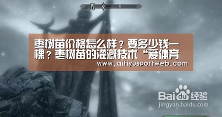 枣树苗价格怎么样?要多少钱一棵?枣树苗的灌溉技术“爱体育直播”(图1) 爱体育直播