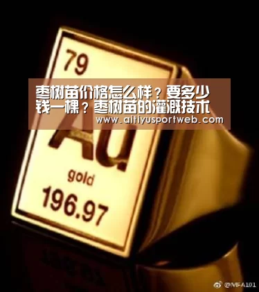 枣树苗价格怎么样?要多少钱一棵?枣树苗的灌溉技术“爱体育直播”(图3) 爱体育官网