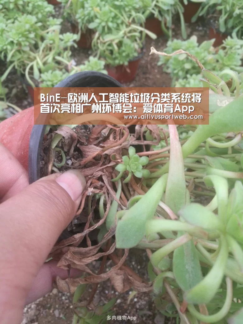 BinE-欧洲人工智能垃圾分类系统将首次亮相广州环博会:爱体育App(图2) 爱体育App