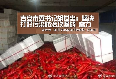 吉安市委书记胡世忠:坚决打好污染防治攻坚战 奋力开创生态文明建设新局面:爱体育直播(图1) 爱体育App