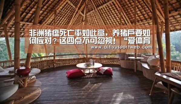 非洲猪瘟死亡率如此高,养猪户要如何应对?这四点不可忽视!“爱体育直播”(图1) 爱体育