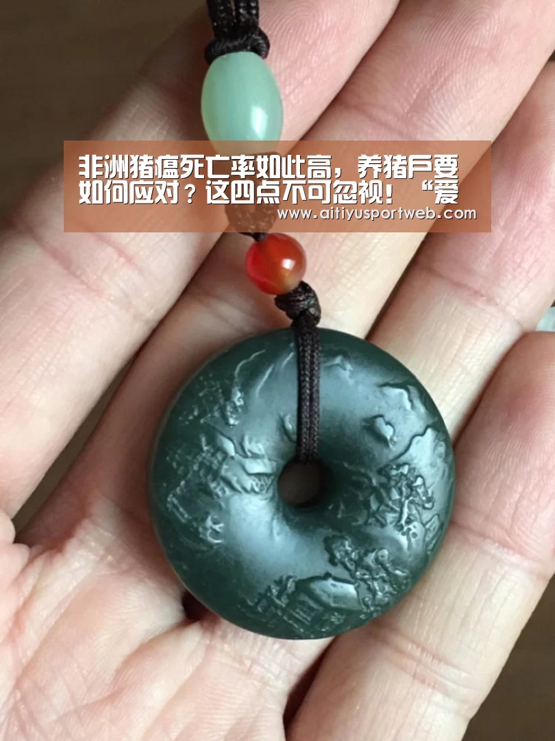 非洲猪瘟死亡率如此高,养猪户要如何应对?这四点不可忽视!“爱体育直播”(图2) 爱体育