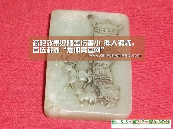 减肥效果好膝盖伤害小 胖人锻炼,首选游泳“爱体育官网”(图2) 爱体育官网