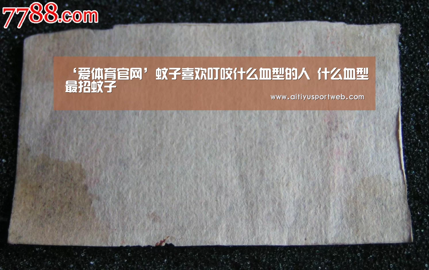 爱体育App