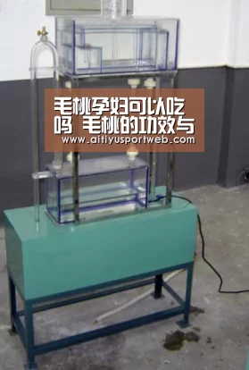 毛桃孕妇可以吃吗 毛桃的功效与作用_爱体育官网(图2) 爱体育App