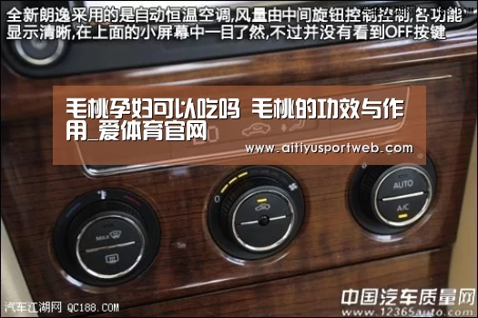 毛桃孕妇可以吃吗 毛桃的功效与作用_爱体育官网(图1) 爱体育直播