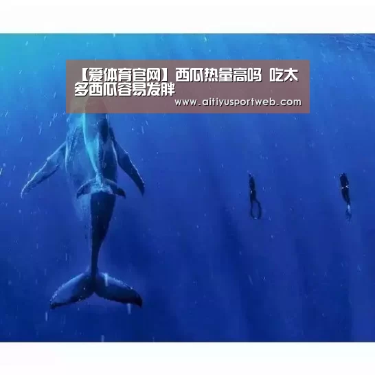 【爱体育官网】西瓜热量高吗 吃太多西瓜容易发胖(图1) 爱体育直播