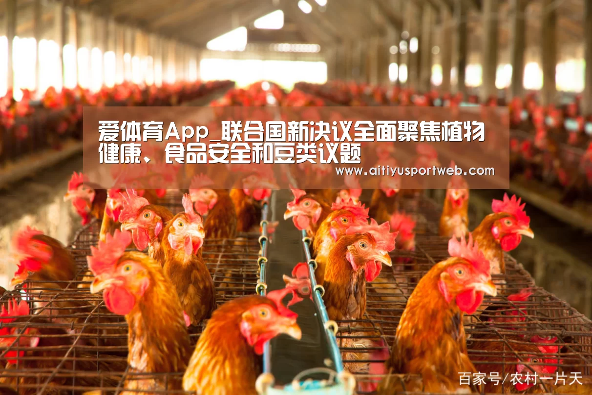 爱体育App_联合国新决议全面聚焦植物健康、食品安全和豆类议题(图4) 爱体育直播